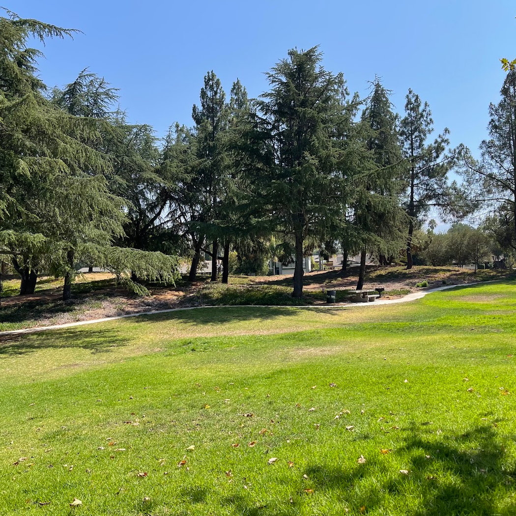 Evergreen Park 1