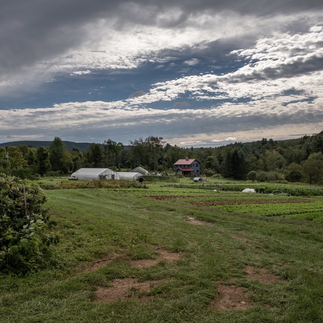 Woven Roots Farm & Community Center 2