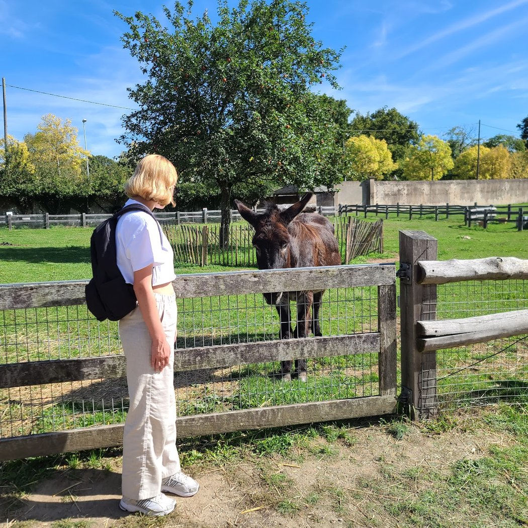 Rendez-vous à la ferme