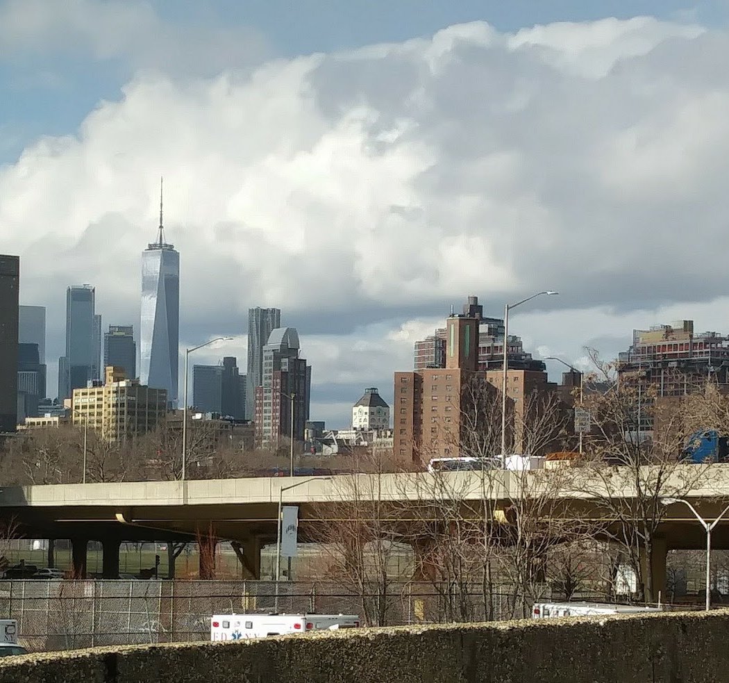 Fort Greene - Navy Yard Walk & Talk to Build a Strong Parks System 2