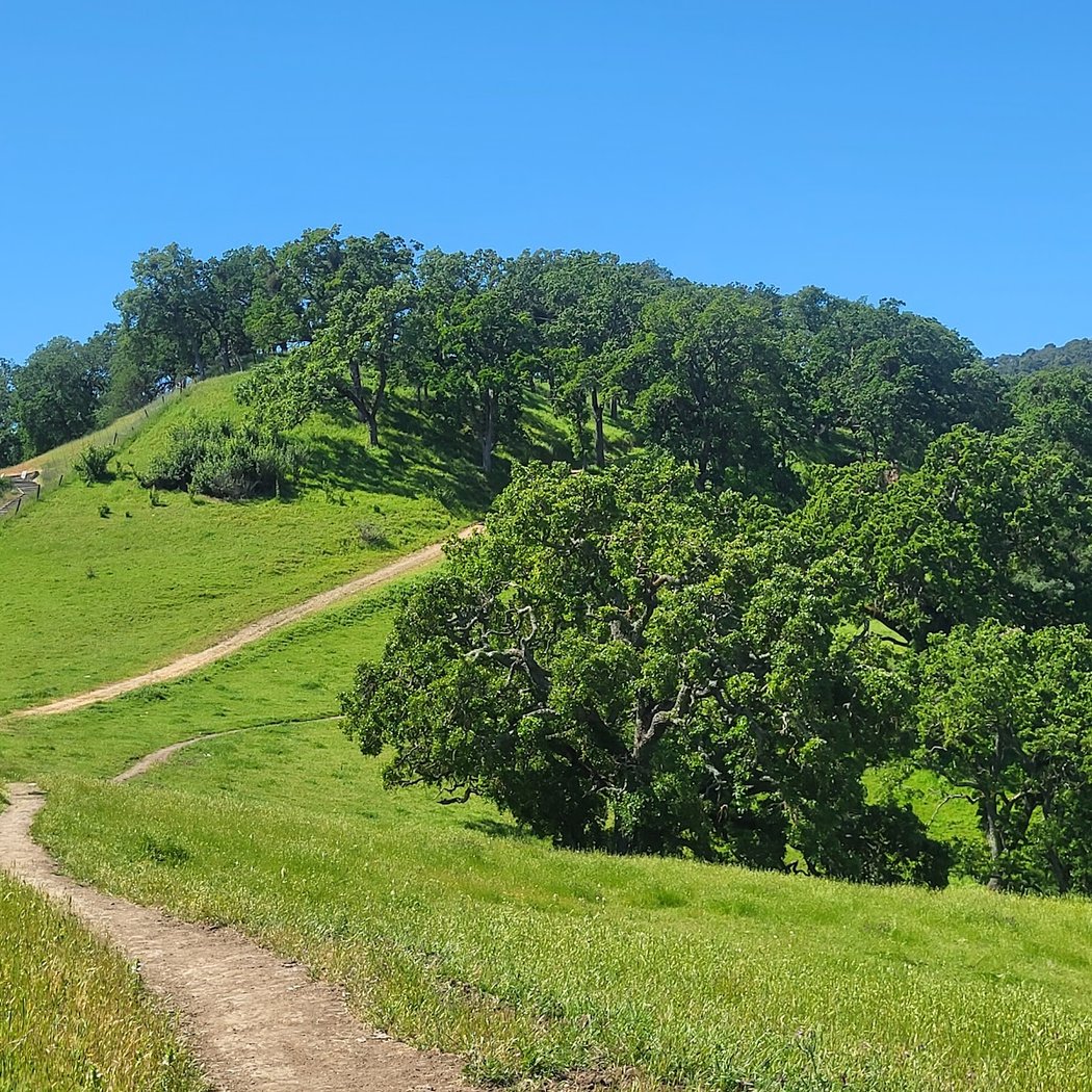 Briones Overlook Staging Area 1