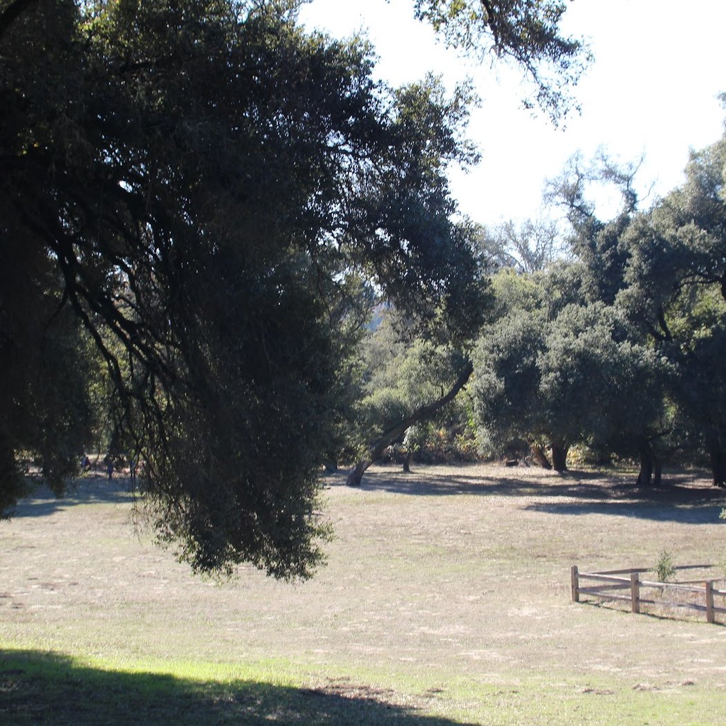 Outdoor Morning Prānāyāma 2