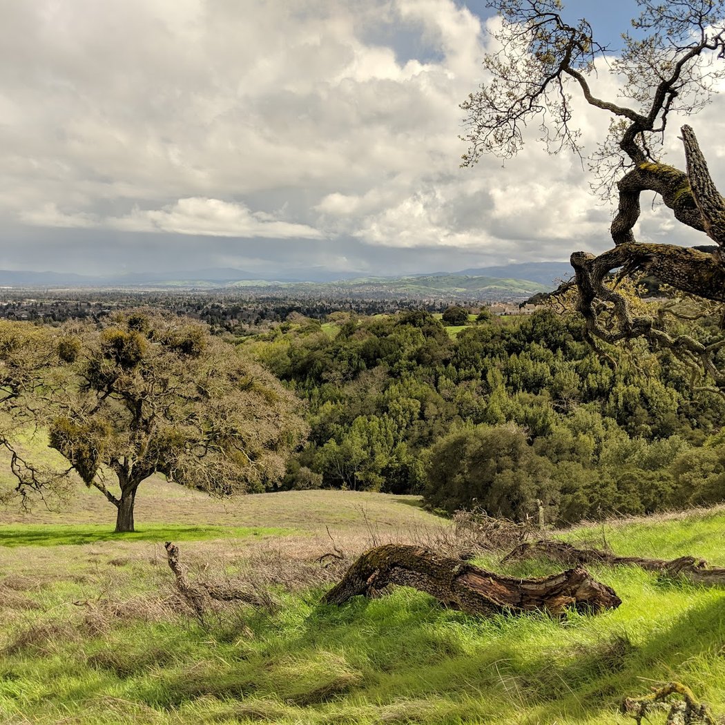 The Preserve Area Trails 1