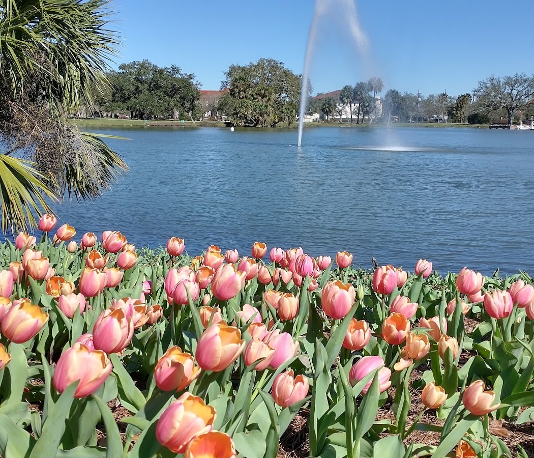 City Park 1