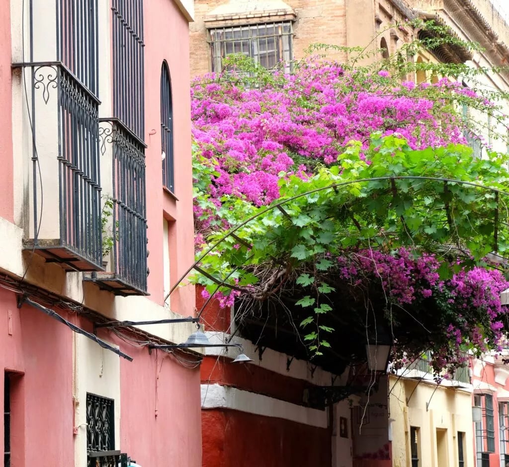 Hostal Callejón Del Agua 1
