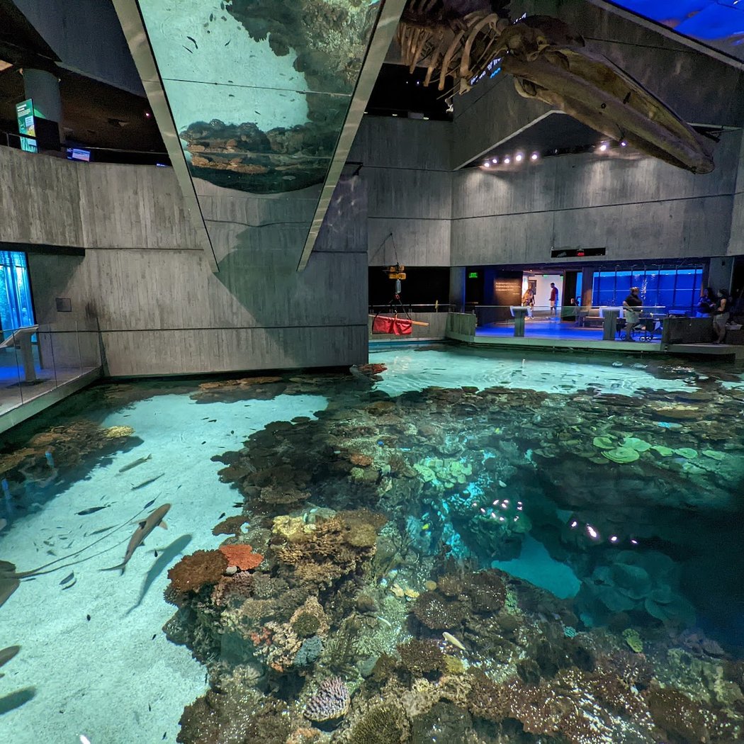 National Aquarium 3