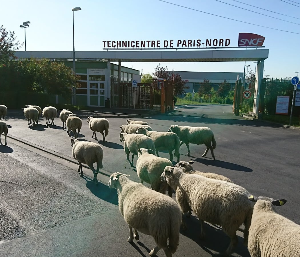 Journées du Patrimoine 2025 1