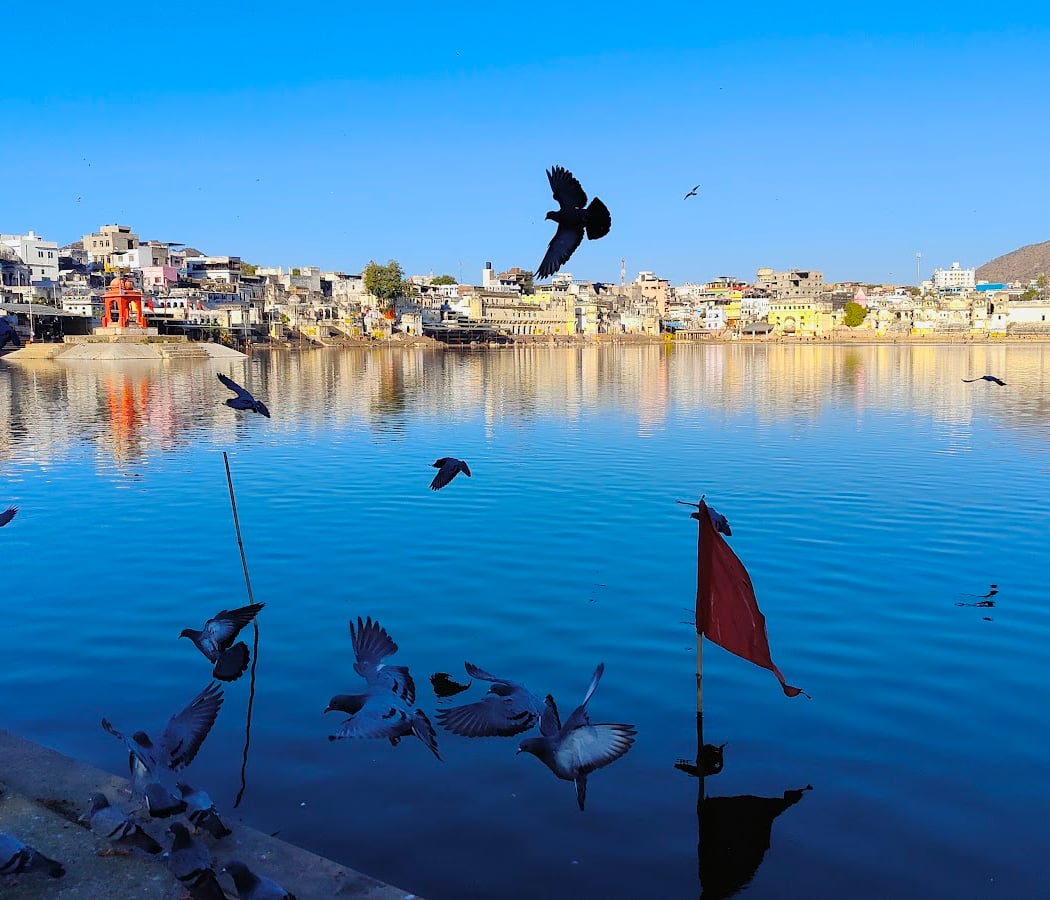 Pushkar 3