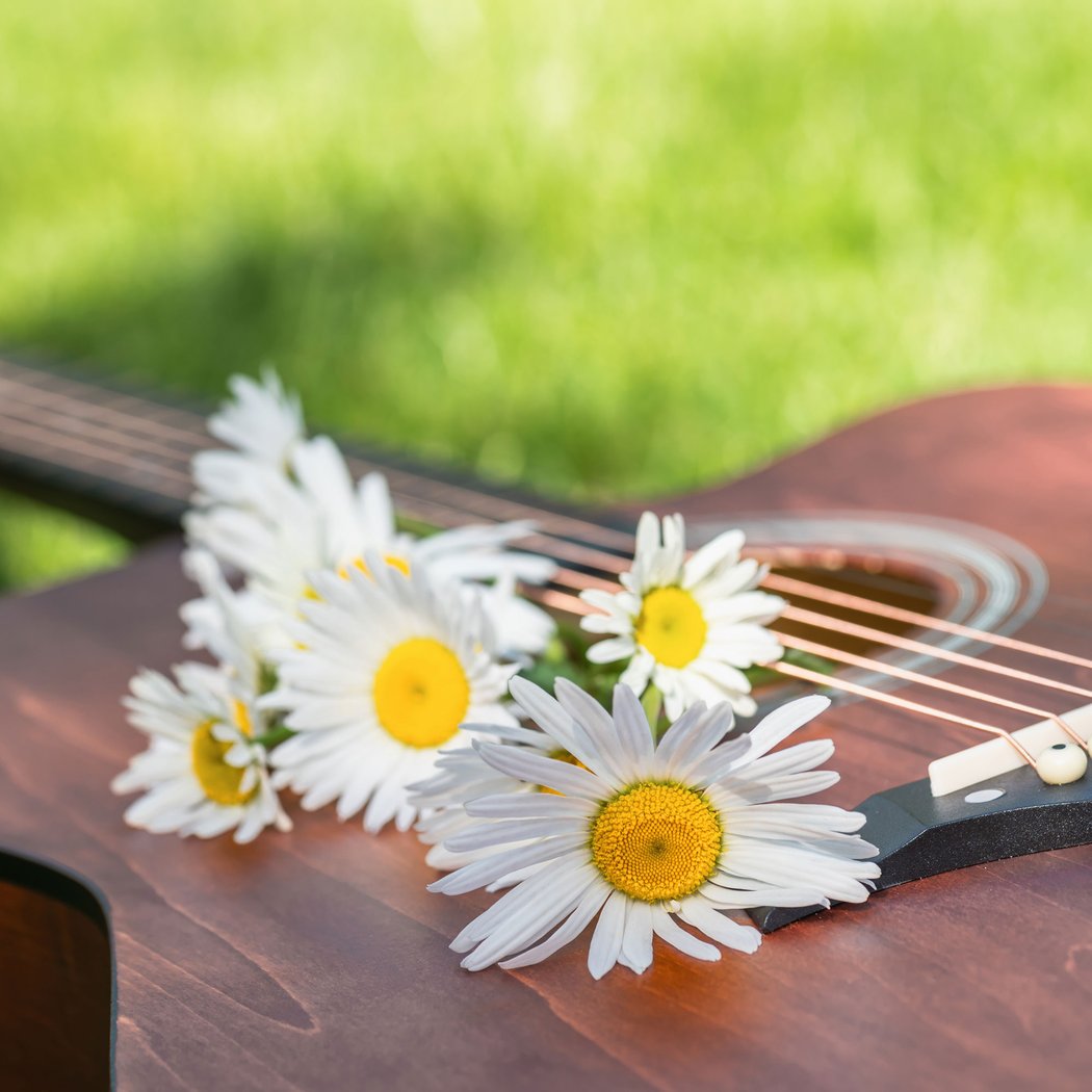 Live Music at NYBG Farmers Market 1