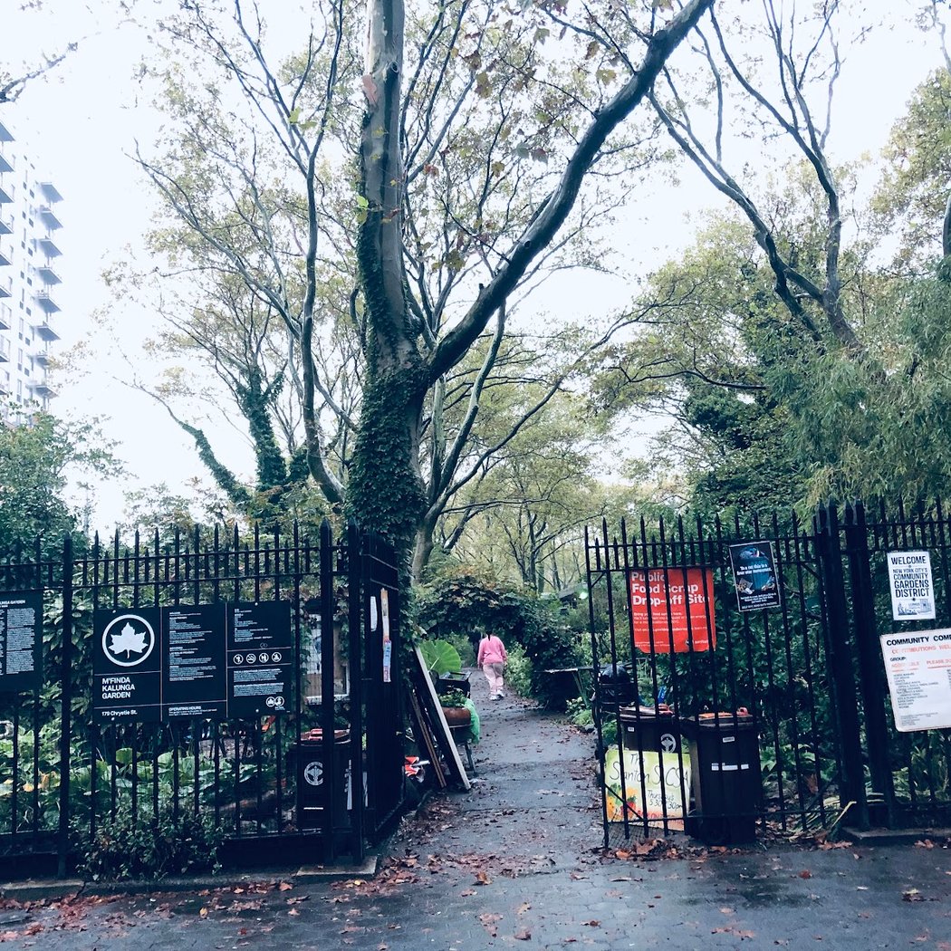 M’Finda Kalunga Garden 3