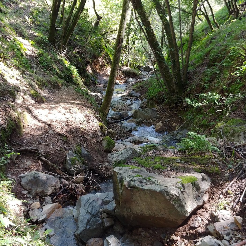 Horne Trail 3