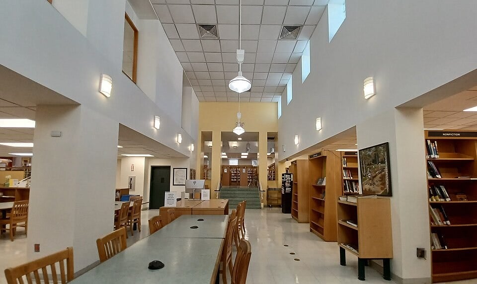 Library book sale 1