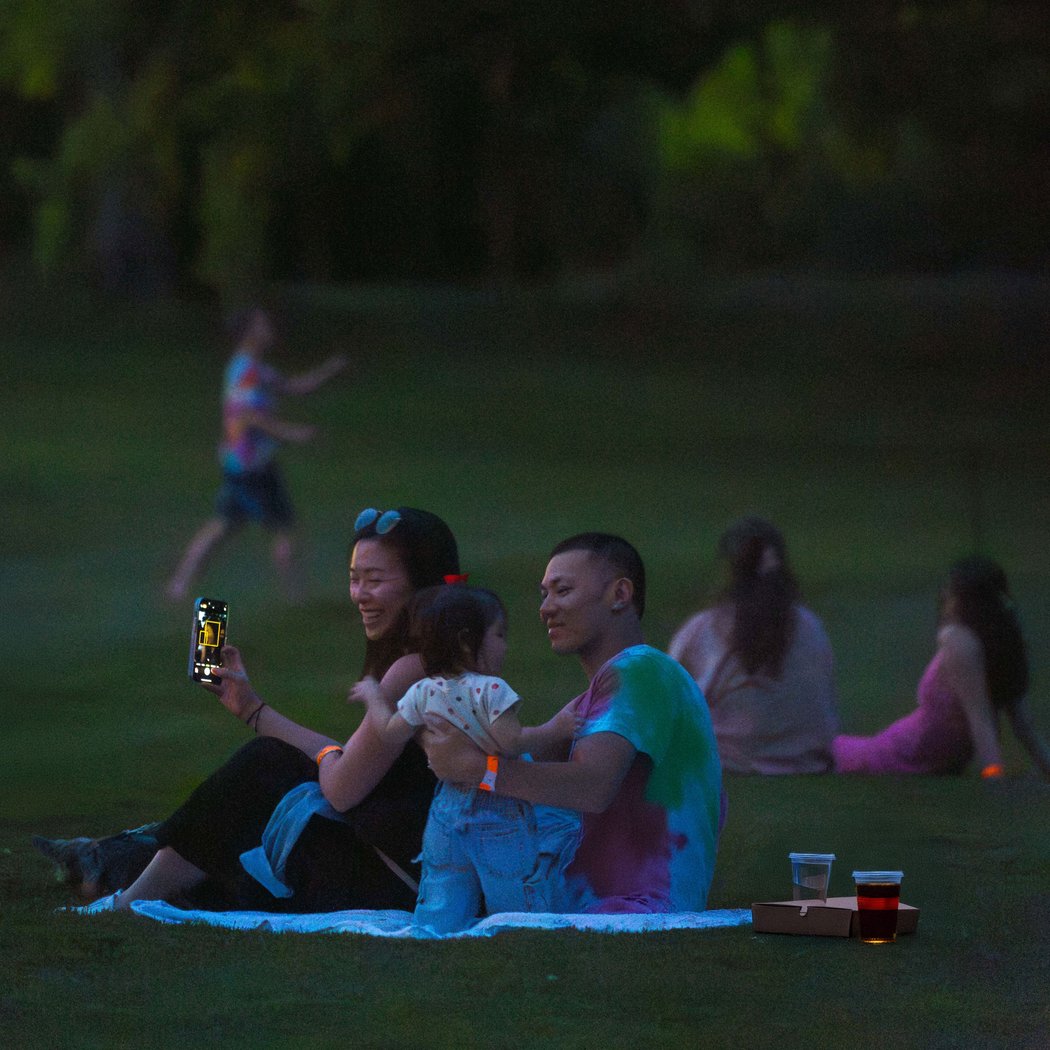 Picnic on the Lawn