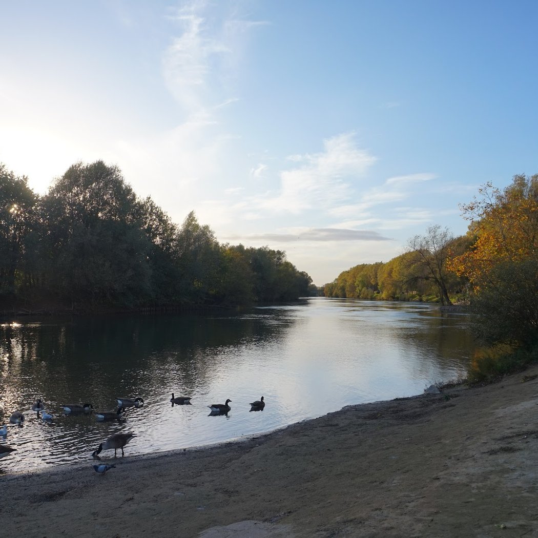 Réserve naturelle régionale des îles de Chelles 5