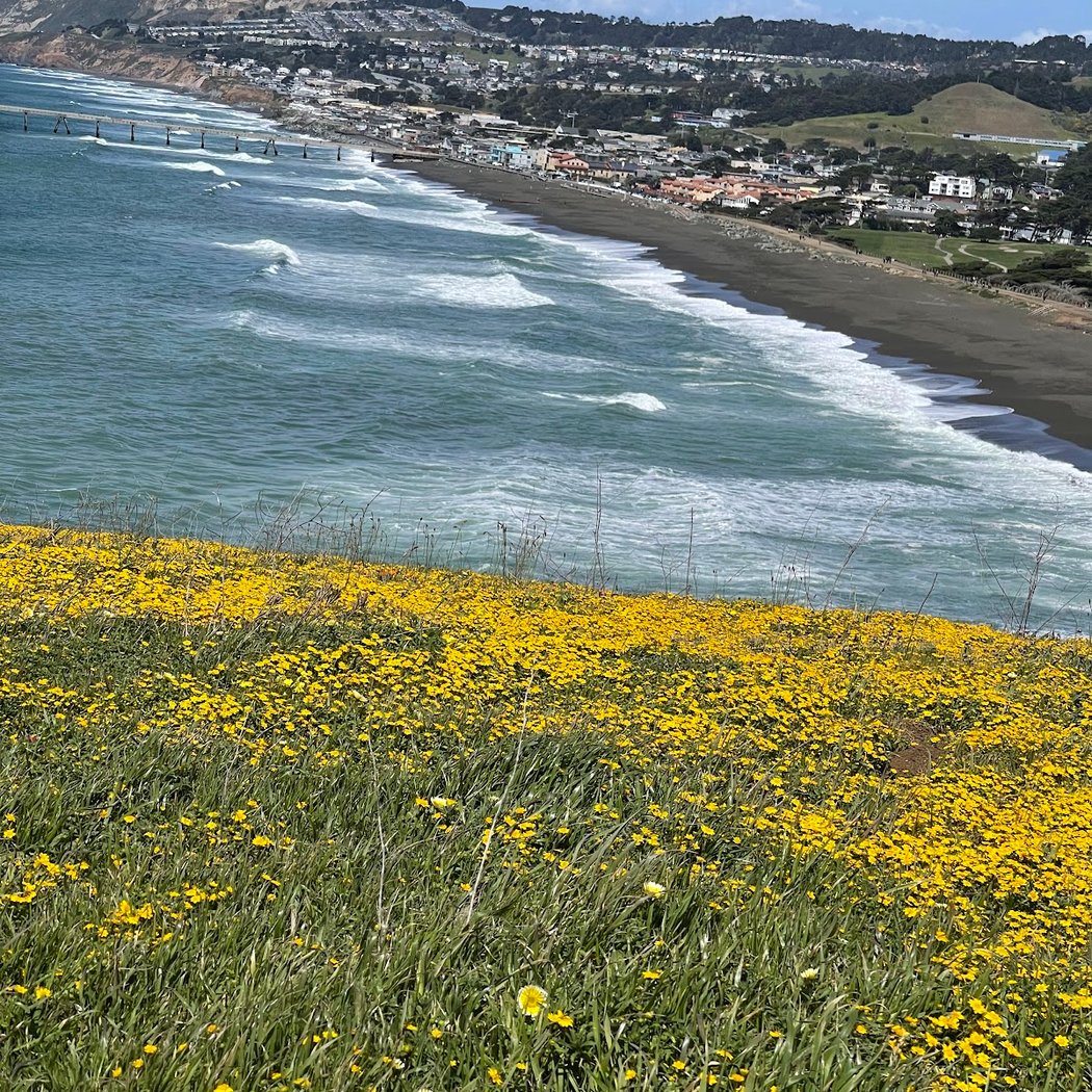 Mori Point Hiking Area 1
