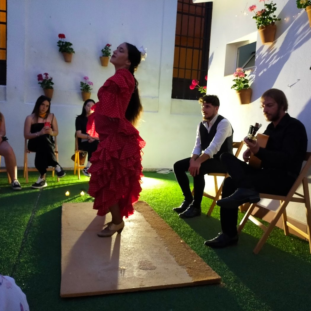 Flamenco School Flamenco por El Mundo 1