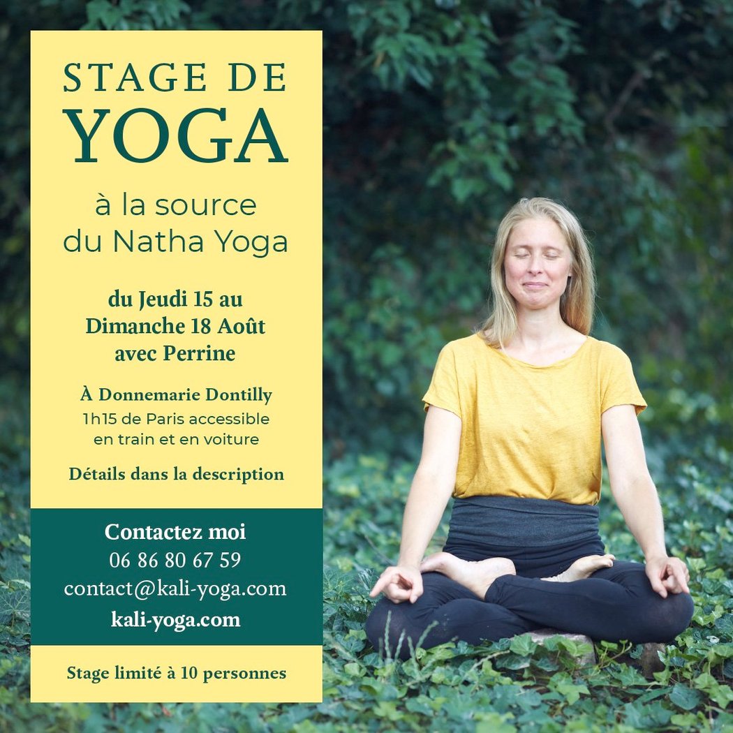 Stage de Yoga 1