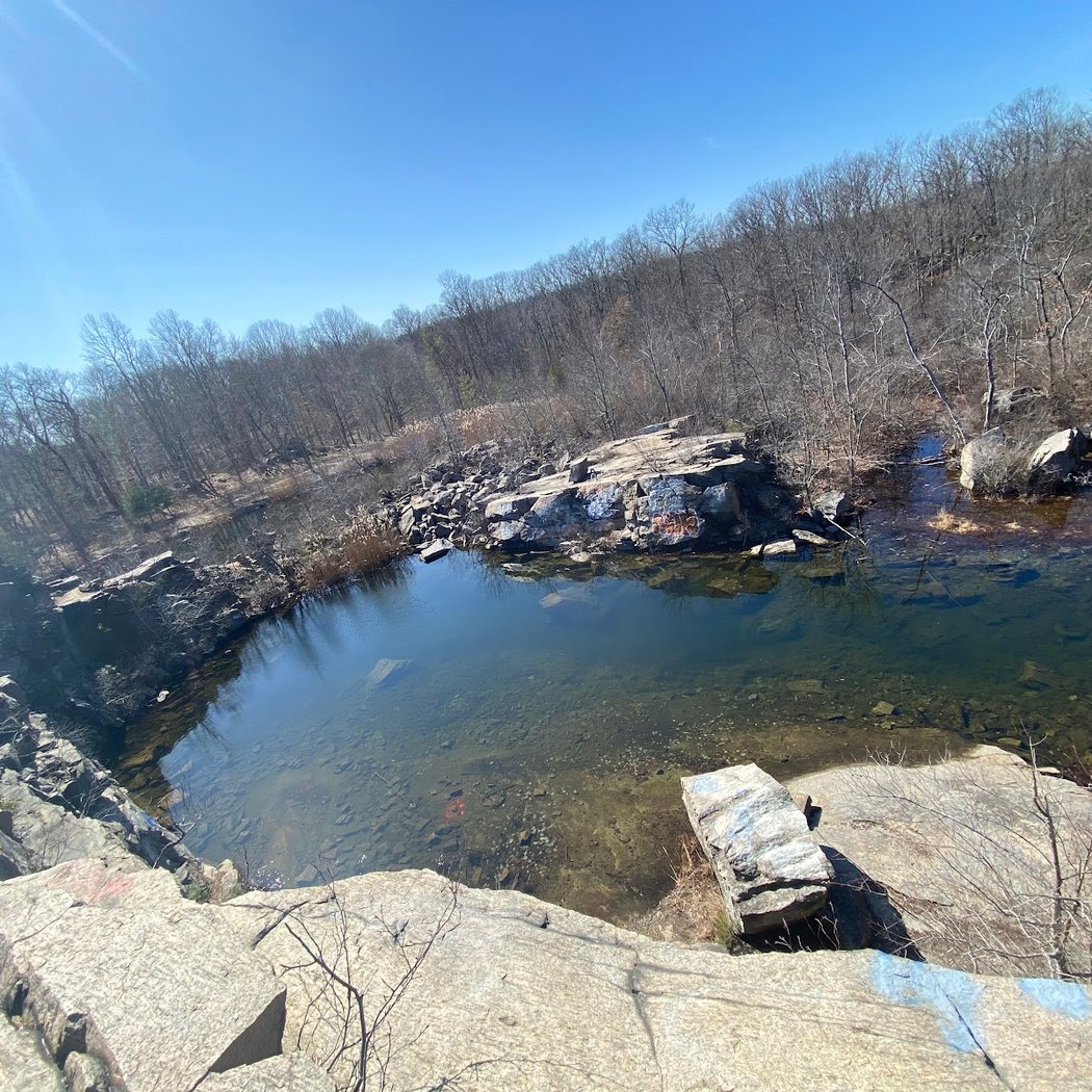 Cranberry Lake Preserve 2