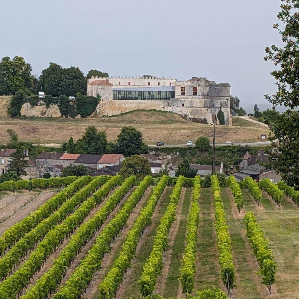 Château de Bouteville 4