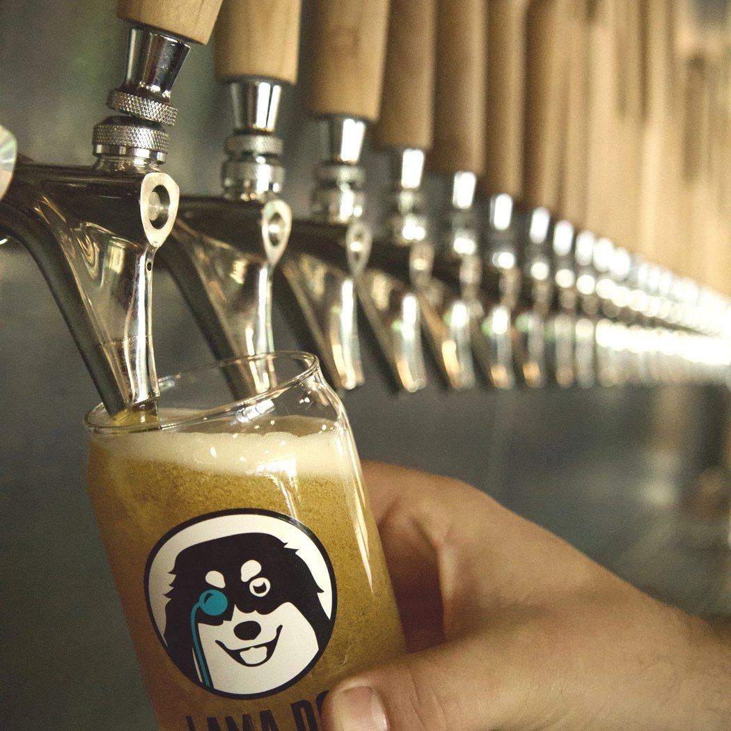 Lama Dog Tap Room + Bottle Shop Uptown 1