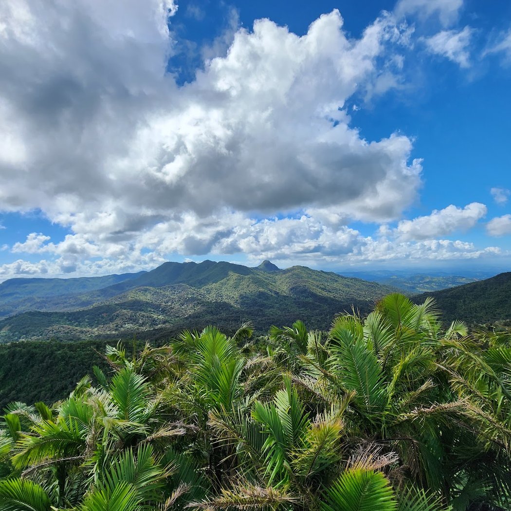 El Yunque National Forest 1