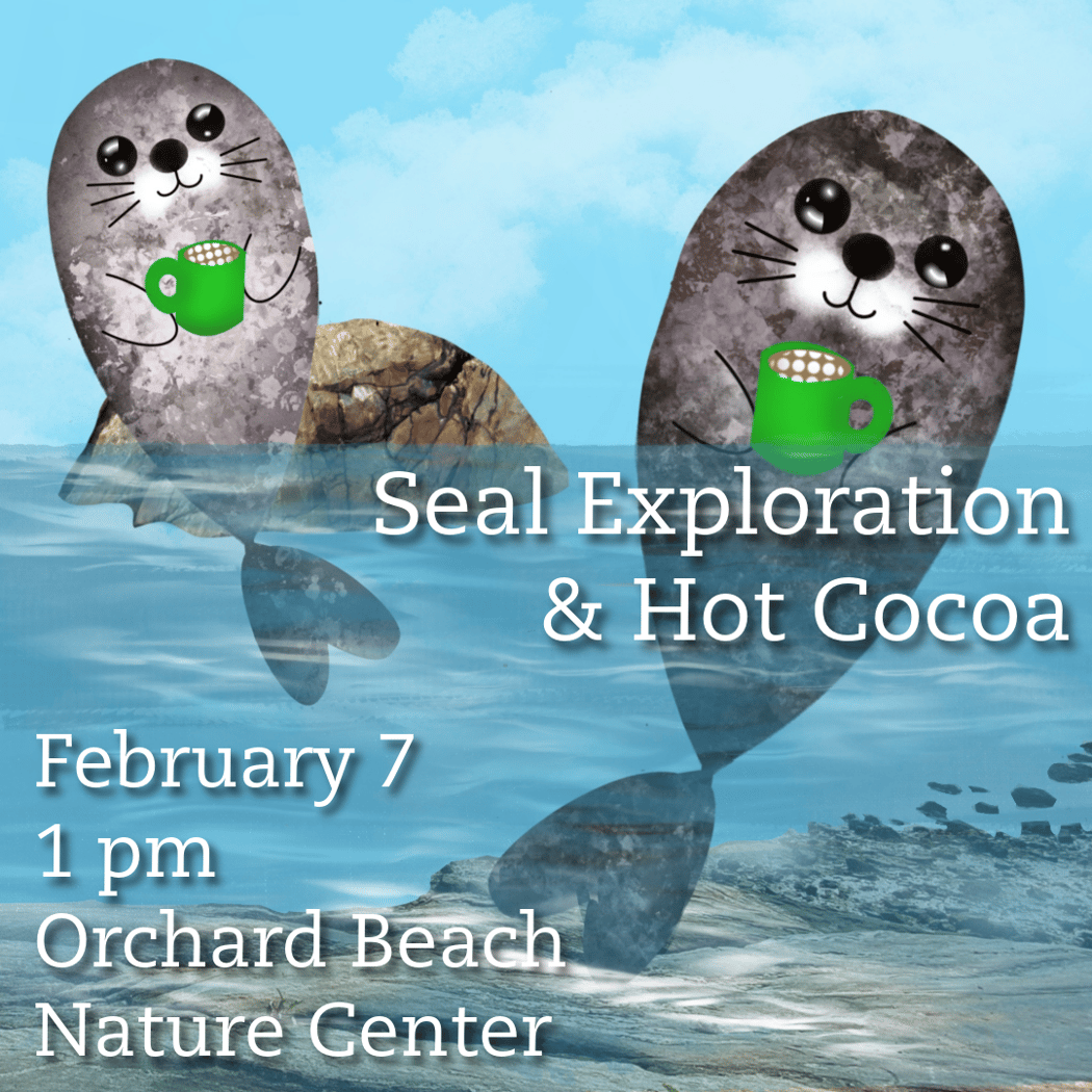 Friends x Urban Park Rangers: Seal Exploration 1
