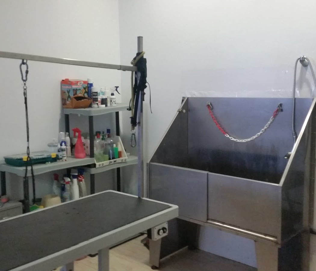 Pet Dog Grooming Nervion 1