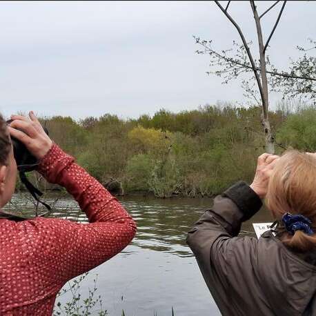 Balade nature immersive - Découverte des oiseaux du marais de Goulaine 1