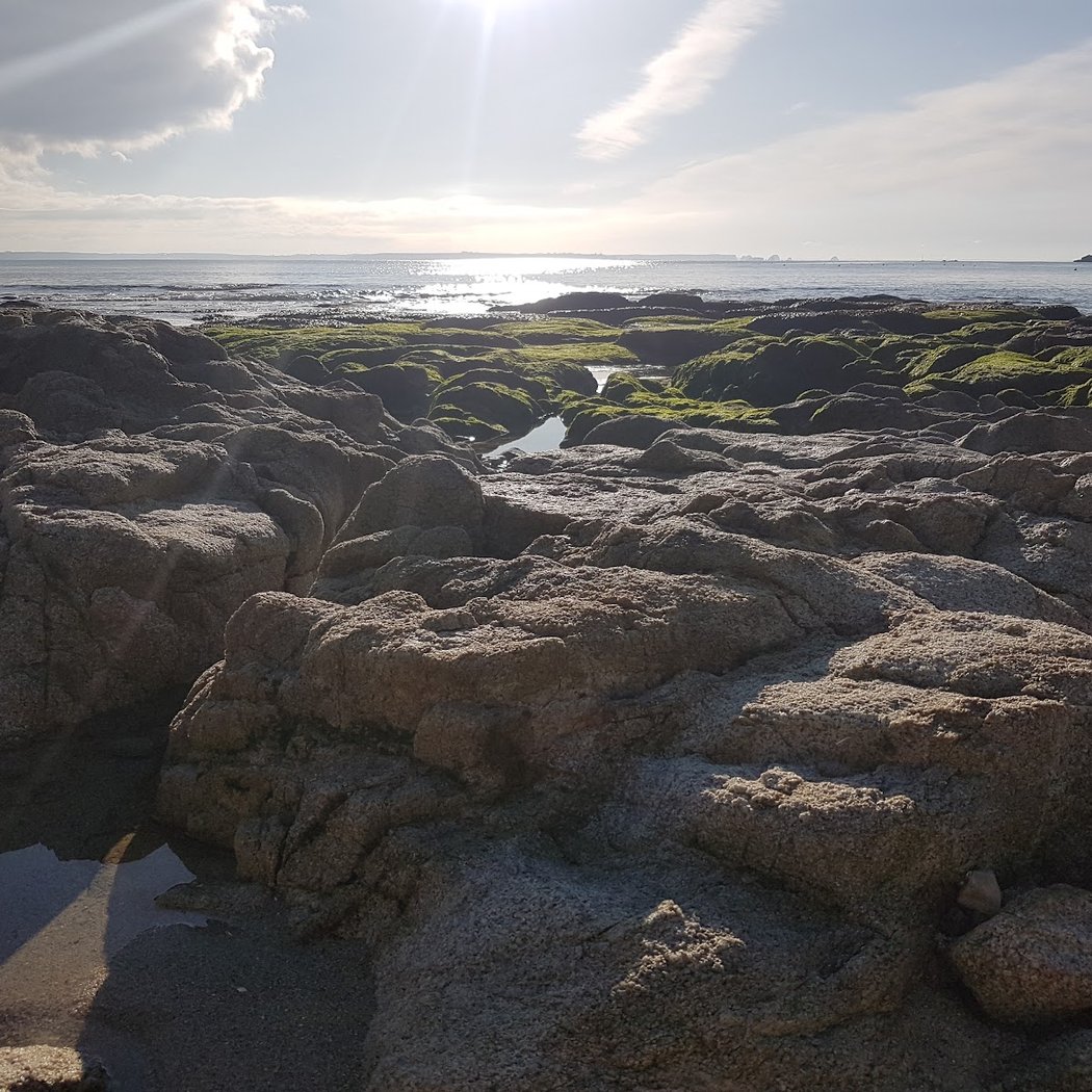 Plage du Trez Hir 4