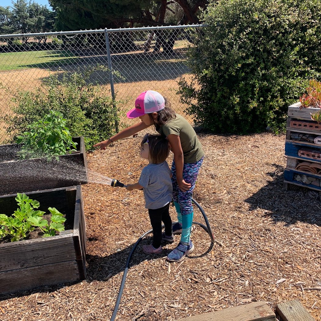 Blacow Elementary Butterfly Garden 3