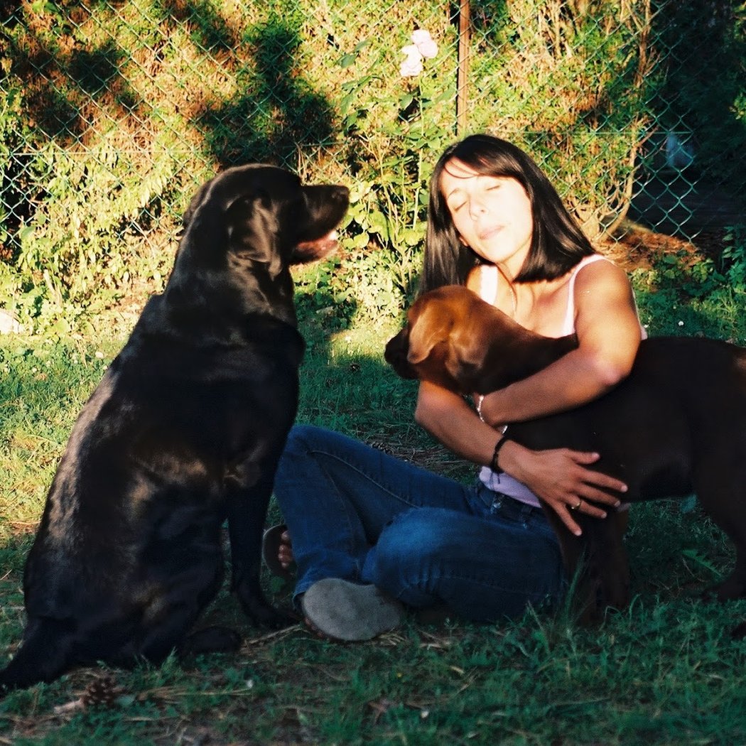 Parc de l'Aure - Parc de Jeux Canin/éducation de votre chien près d'Amiens à Saisseval 3