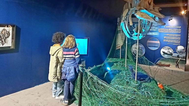 Océans. Voyage en huit escales à la découverte des richesses de la mer 1