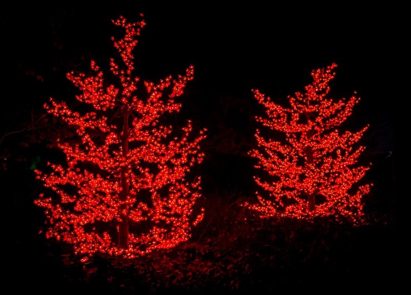The Guardsmen Holiday Tree Lot 2025 2