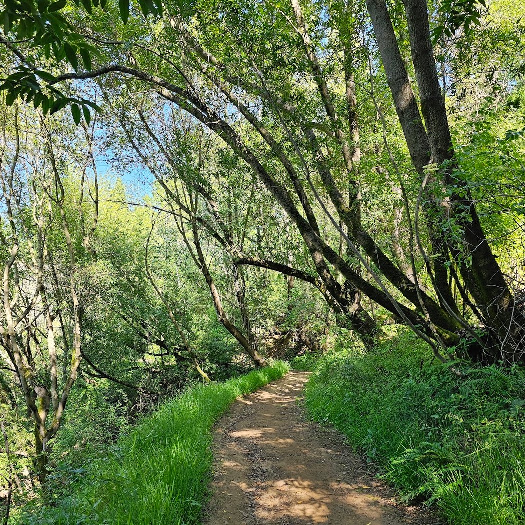 Proctor Trail 1