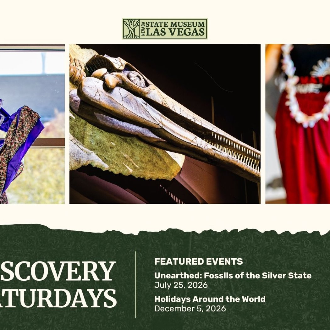 Discovery Saturdays 2