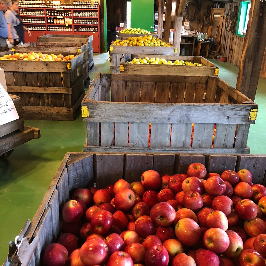 Morris Orchard 2