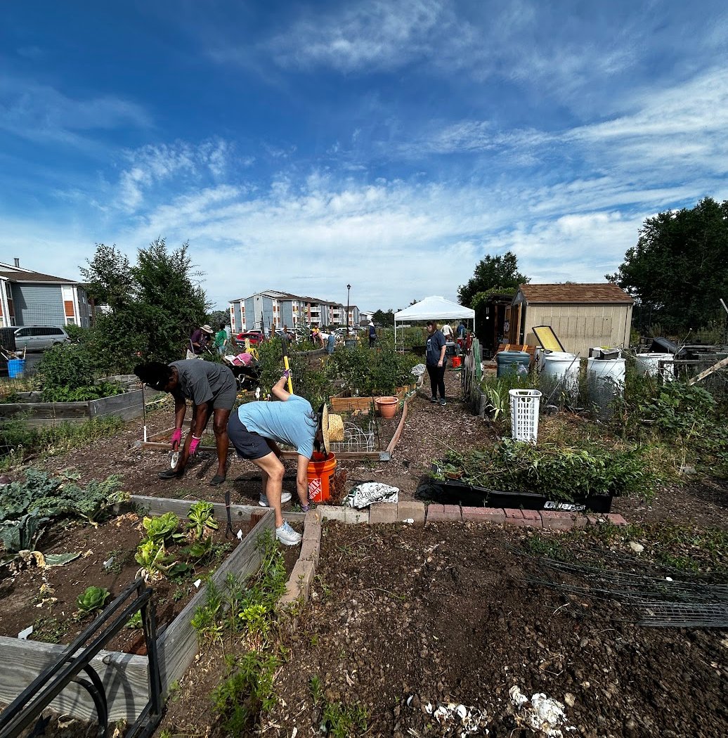 Wild Sage Community Garden 1