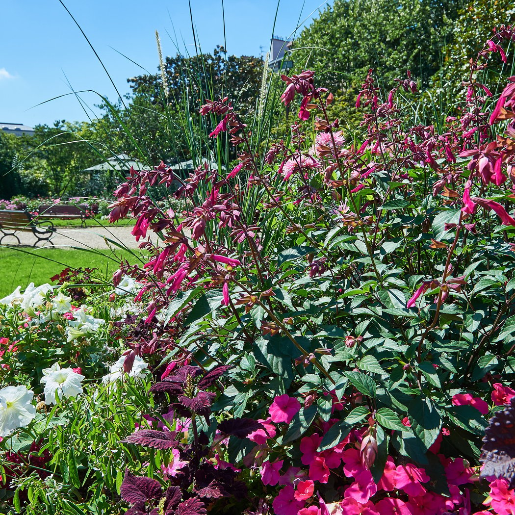 Léon Bonnat Garden 3