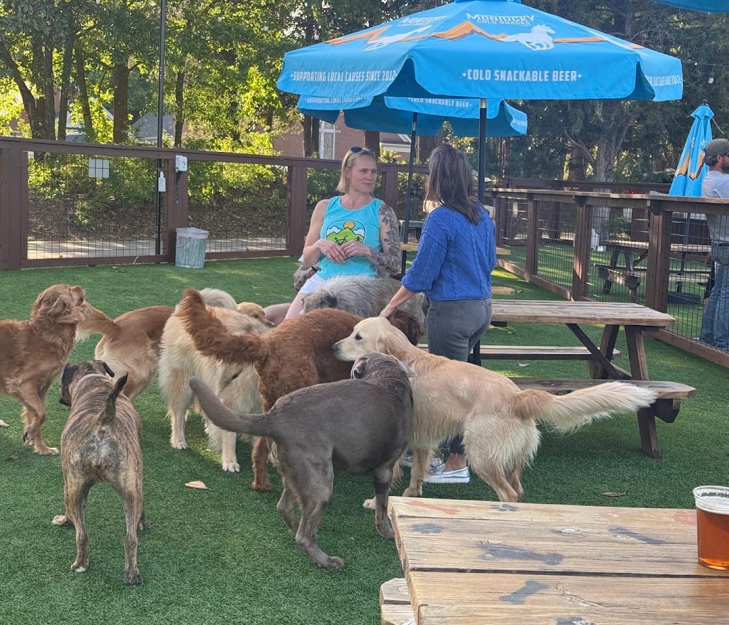 Swampy Dog Social + Bar 1