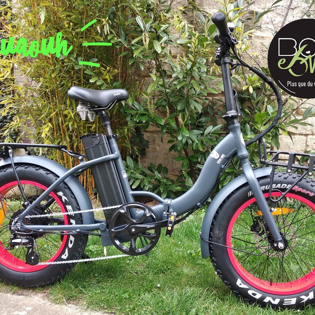 BOBEBIKE CHANTILLY, location vélo 2