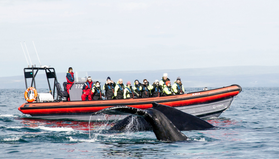 Husavik Adventures 1