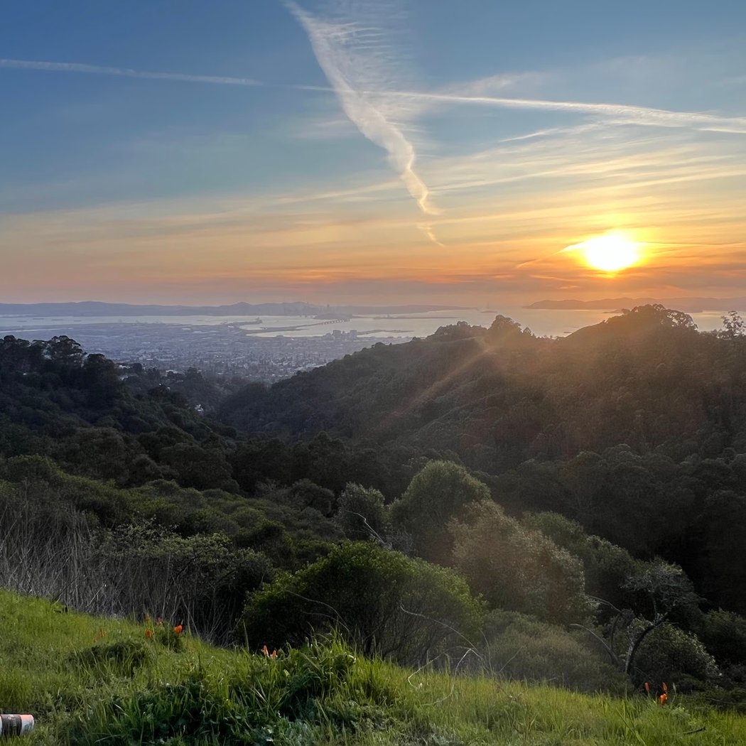 Grizzly Peak Blvd Overlook 3