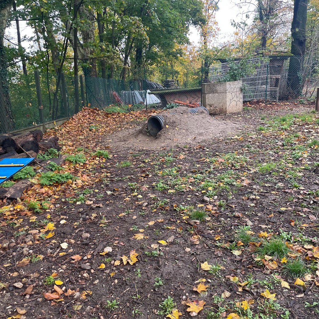 Parc à Chiens 3
