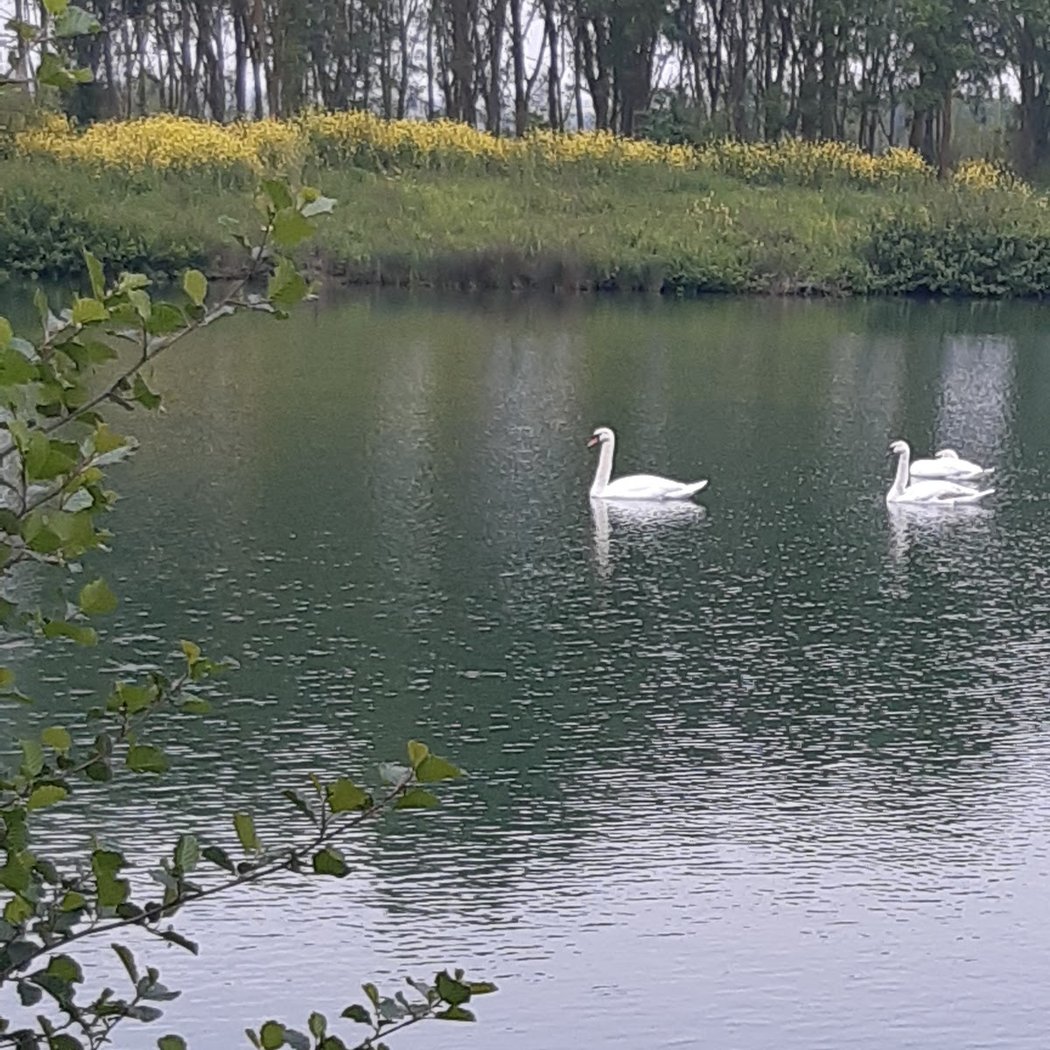 Plan d'Eau de Villiers-sur-Loir 1