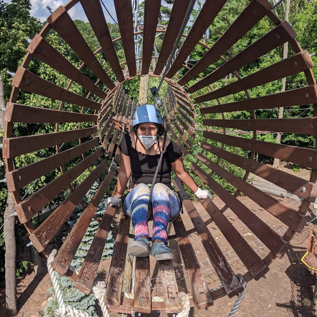 Treetop Adventure Course 1