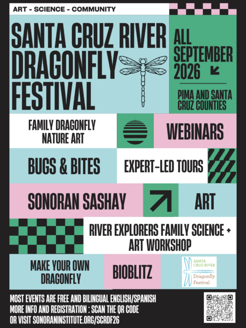 Dragonfly BioBlitz