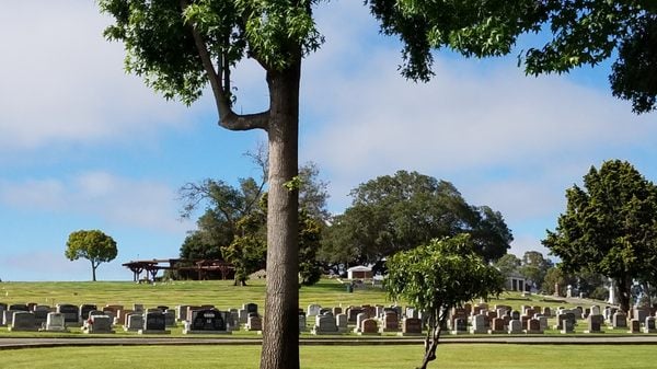 Gold Star Families Memorial Service 3