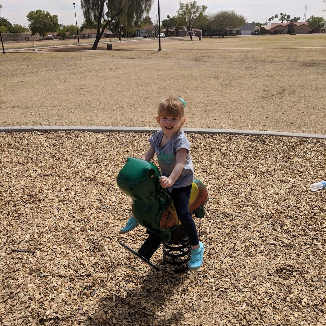 Bookmobile Stop: Mountain View Park 2