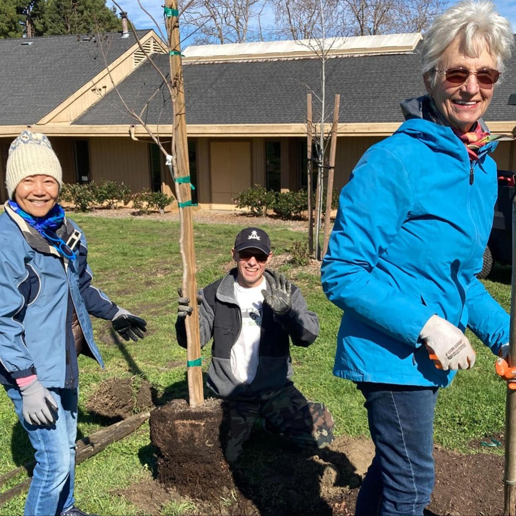 Rotary Club Plants 22 Trees in Leydecker Park 1