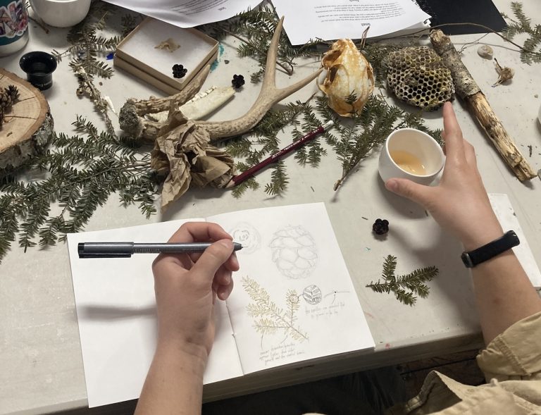 Nature Journaling Workshop 1